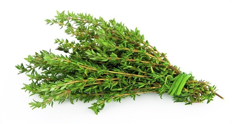 عرق گیاه آویشن