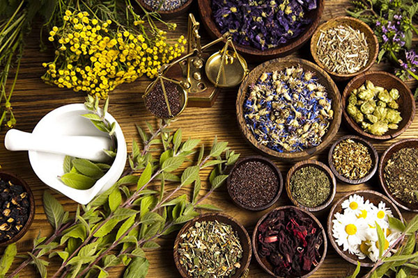 لیست گیاهان دارویی - medicinal plants list - خواص گیاهان دارویی - herbal benefits - موارد مصرف و مضرات - uses and side effects - نحوه دم کردن - preparation methods - دوز مصرفی - dosage guide