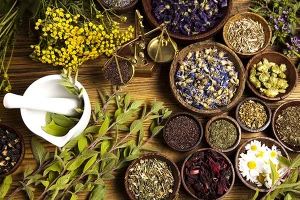 لیست گیاهان دارویی