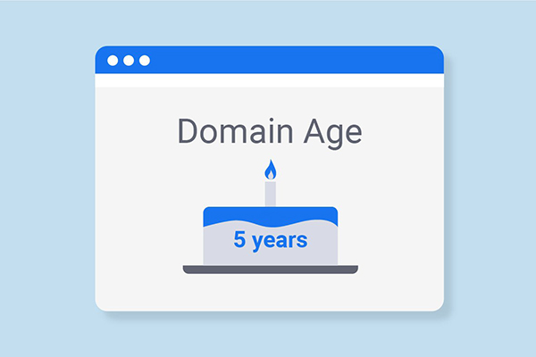قدمت و انقضای دامنه - domain age and expiry - تاریخ ثبت دامنه - registration date - تمدید دامنه - domain renewal - رجیستار - registrar - WHOIS دامنه - domain whois