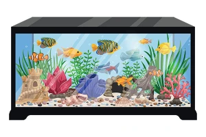 ماهی های گیاهخوار و گوشتخوار آکواریوم