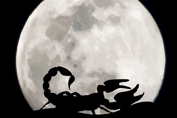 قمر در عقرب - moon in Scorpio - زمان قمر در عقرب - timing moon in scorpio - پرهیزات و اعمال - do and dont - تقویم نجومی - lunar calendar - تاثیرات نجومی - astrological effects