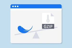 تست و بررسی آنلاین Gzip
