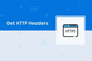بررسی آنلاین Http Header