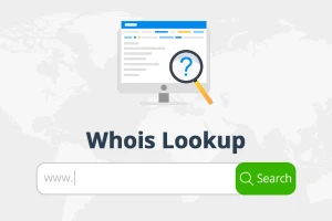 بررسی هویز دامنه