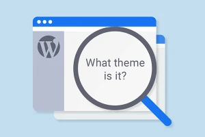 تشخیص اطلاعات قالب وردپرس