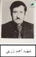 شهید احمد زرینی فرزند محسن