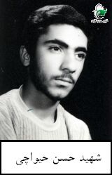 شهید حسن حیواچی فرزند پرویز