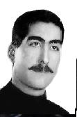 شهید حیدرعلی ذالی مقدم فرزند رضا
