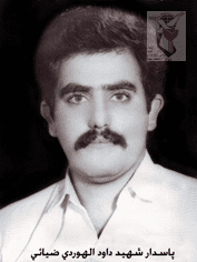 شهید داود اللهویردی ضیائی فرزند بیوک