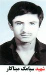 شهید سیامک میناکار فرزند عزیزاله