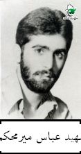 شهید عباس میرمحکم فرزند محمد