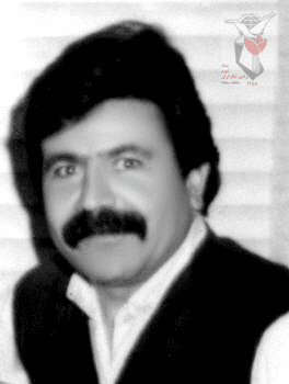 شهید علی رضا بادفر فرزند رضا
