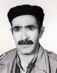 شهید قدرت اله محمدی فرزند شیرمحمد