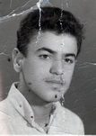 شهید مجید قنبری فرزند علی