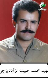 شهید محمد حبیب نژاددیزجی فرزند اسداله