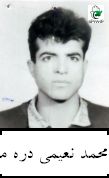 شهید محمد نعیمی دره مرادی فرزند علی مرتضی