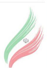 عکس مزار شهید امیر شفیعی امینی فرزند محمدرضا