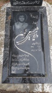 عکس مزار شهید داریوش صیامی نمینی فرزند انوشیروان