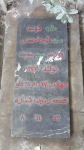 عکس مزار شهید سیدداود احمدی فرزند سیدمحمد