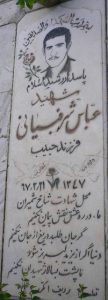 عکس مزار شهید عباس شرف بیاتی فرزند حبیب