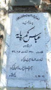 عکس مزار شهید عباس کمرپایه فرزند محمدحسین