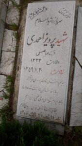 عکس مزار شهید پرویز احمدی فرزند عباس